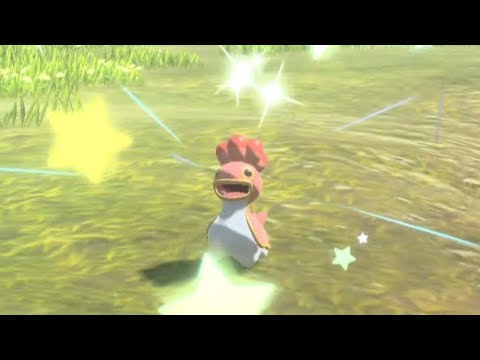 色違いカラナクシ