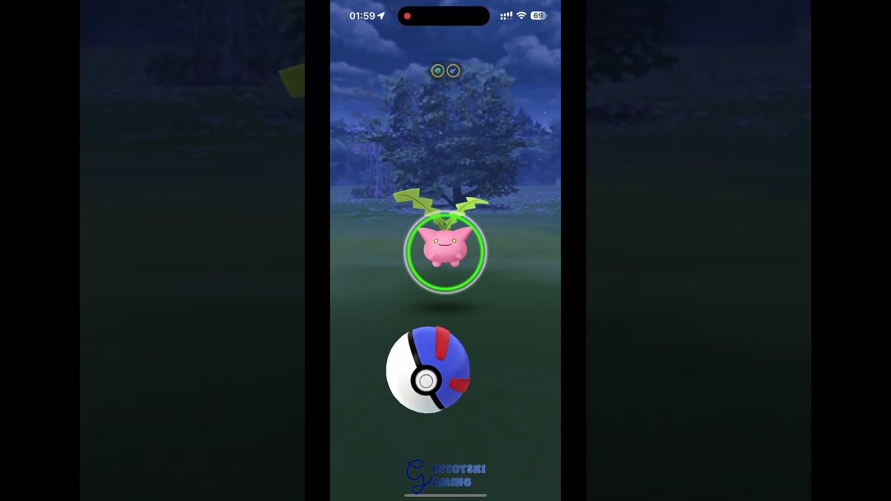 Pokemon Go - gintotski Catching 2 Star Hoppip