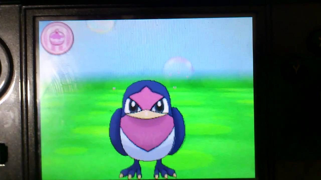 Taillow Pokémon-Amie Poké Recreo  ポケパル スバメ