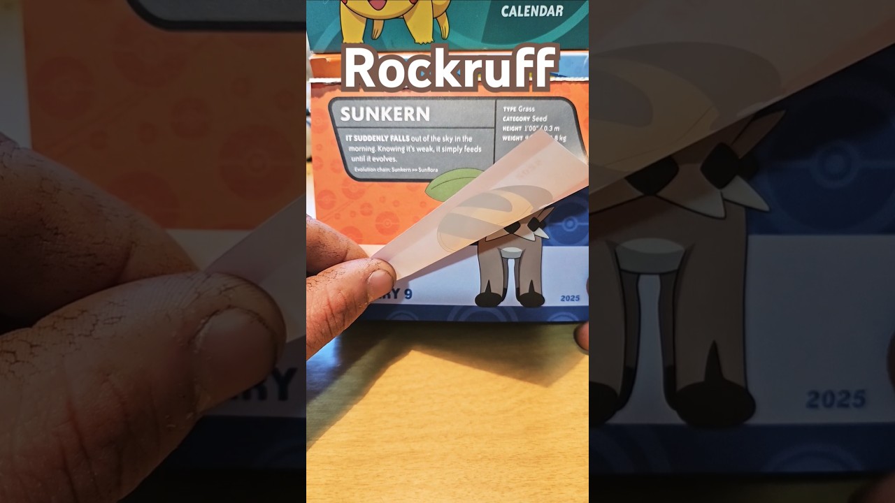 📆Thursday January 9th 2025 Rockruff Pokemon #shorts #rockruff #pokemon #pokémon #gamefreak #nintendo