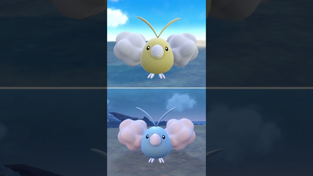 #チルット  #ポケモン  #swablu  #pokemonscarletandviolet