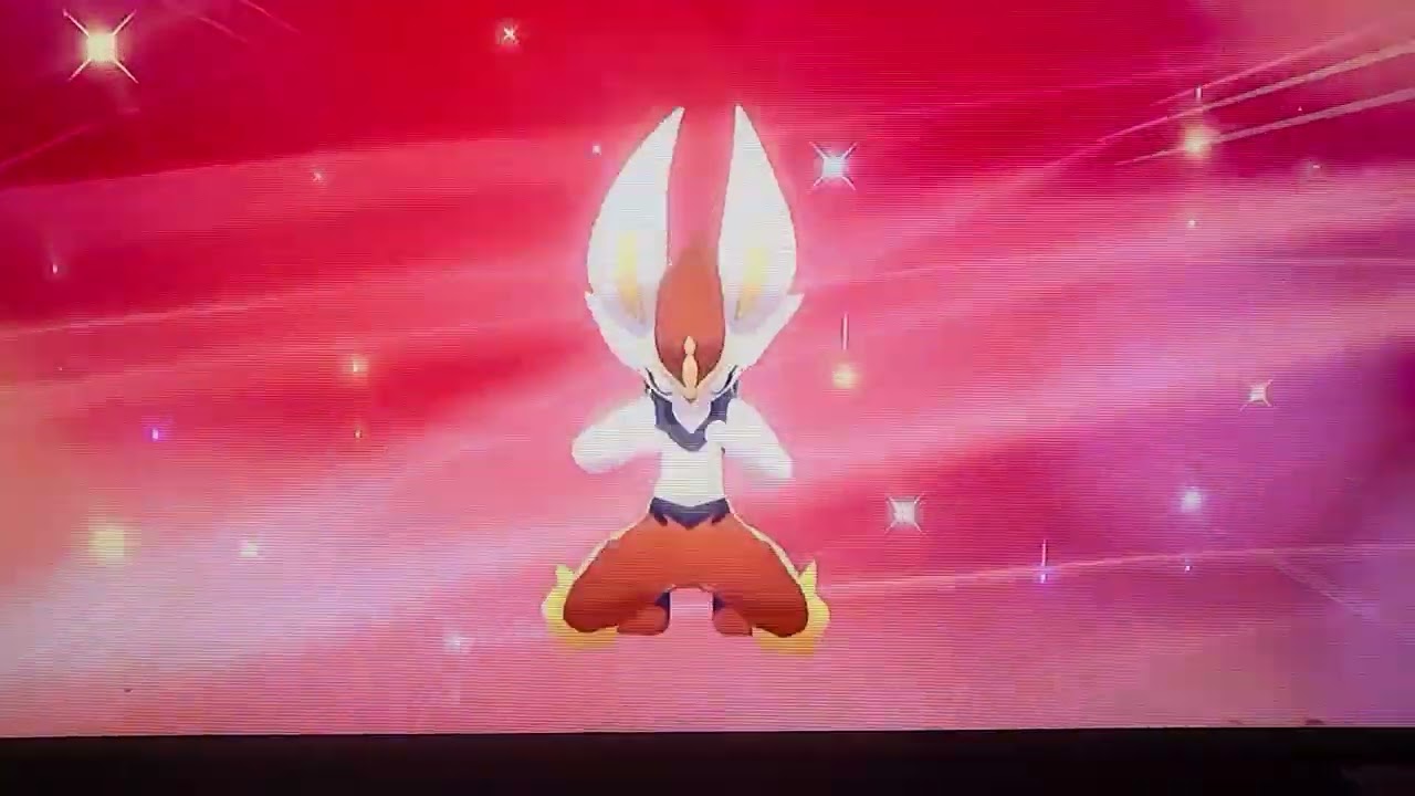 Raboot Evolves (SW&SH)