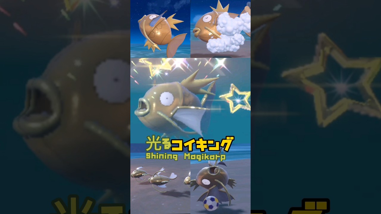 光るコイキング 遭遇　shining Magikarp