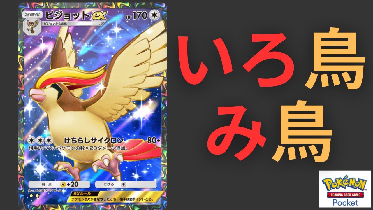 【ポケポケ】ピジョットEXで５連勝に挑戦！鳥デッキでセレヴィ倒す！