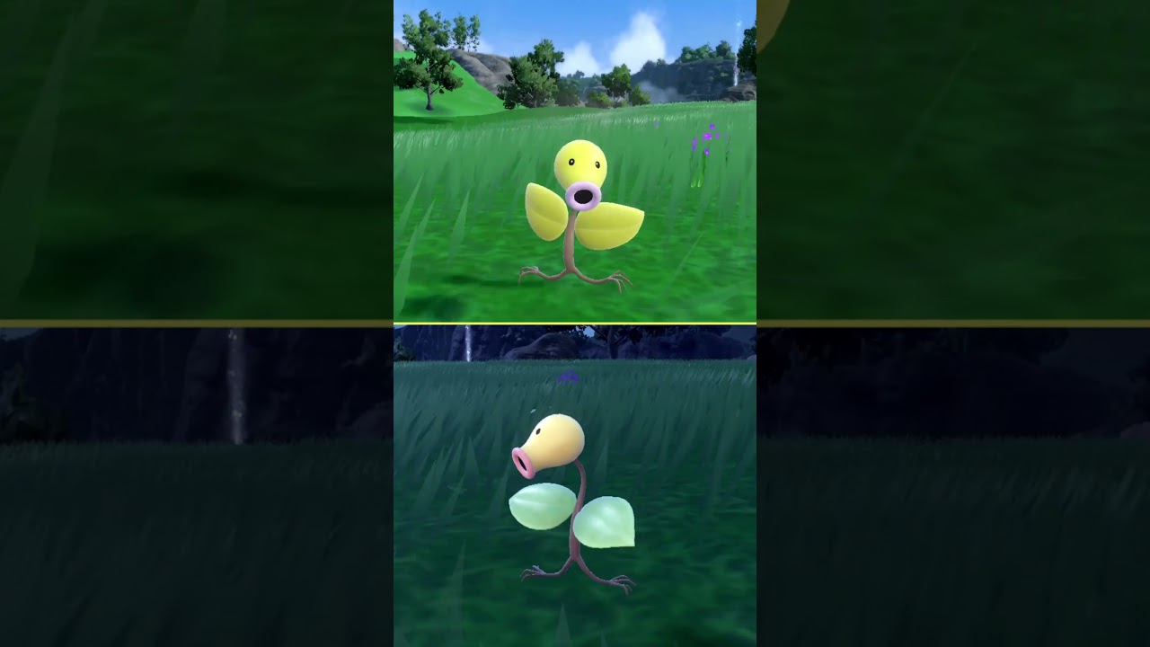 #マダツボミ  #ポケモン  #bellsprout  #pokemonscarletandviolet