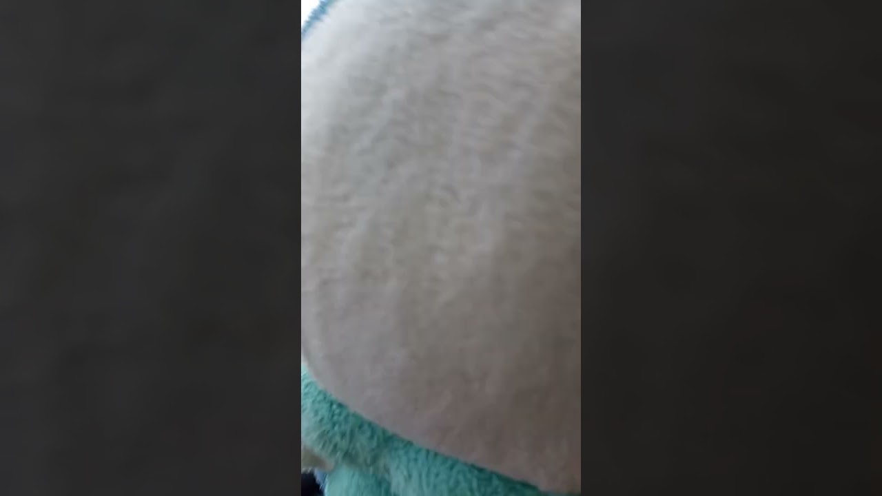 ミジュマルトレイン乗ってきました〜！