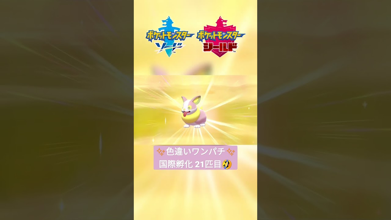 【ポケモン剣盾】国際孵化で色違いワンパチ✨ #shorts