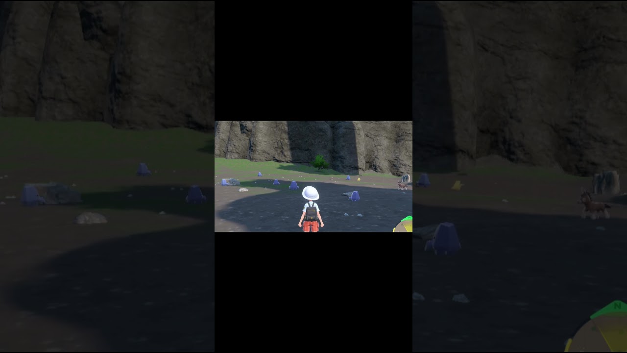 北を向いているノズパスたち　#Shorts