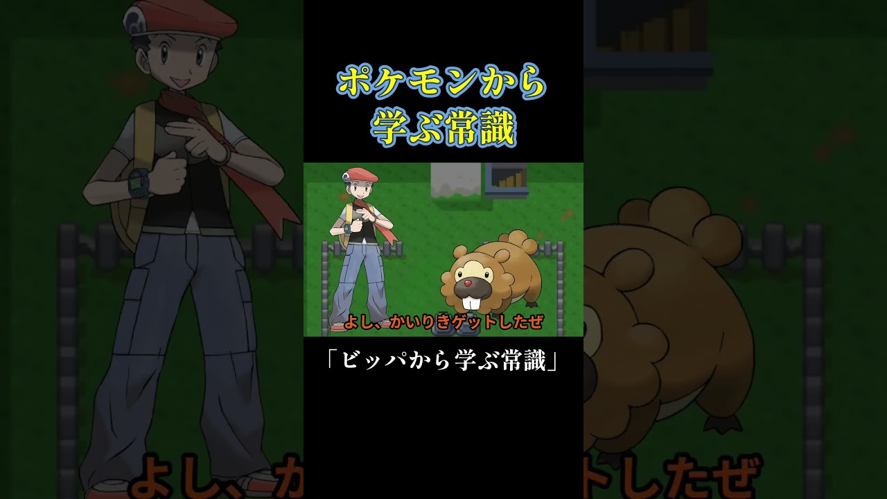 ビッパから学ぶ常識