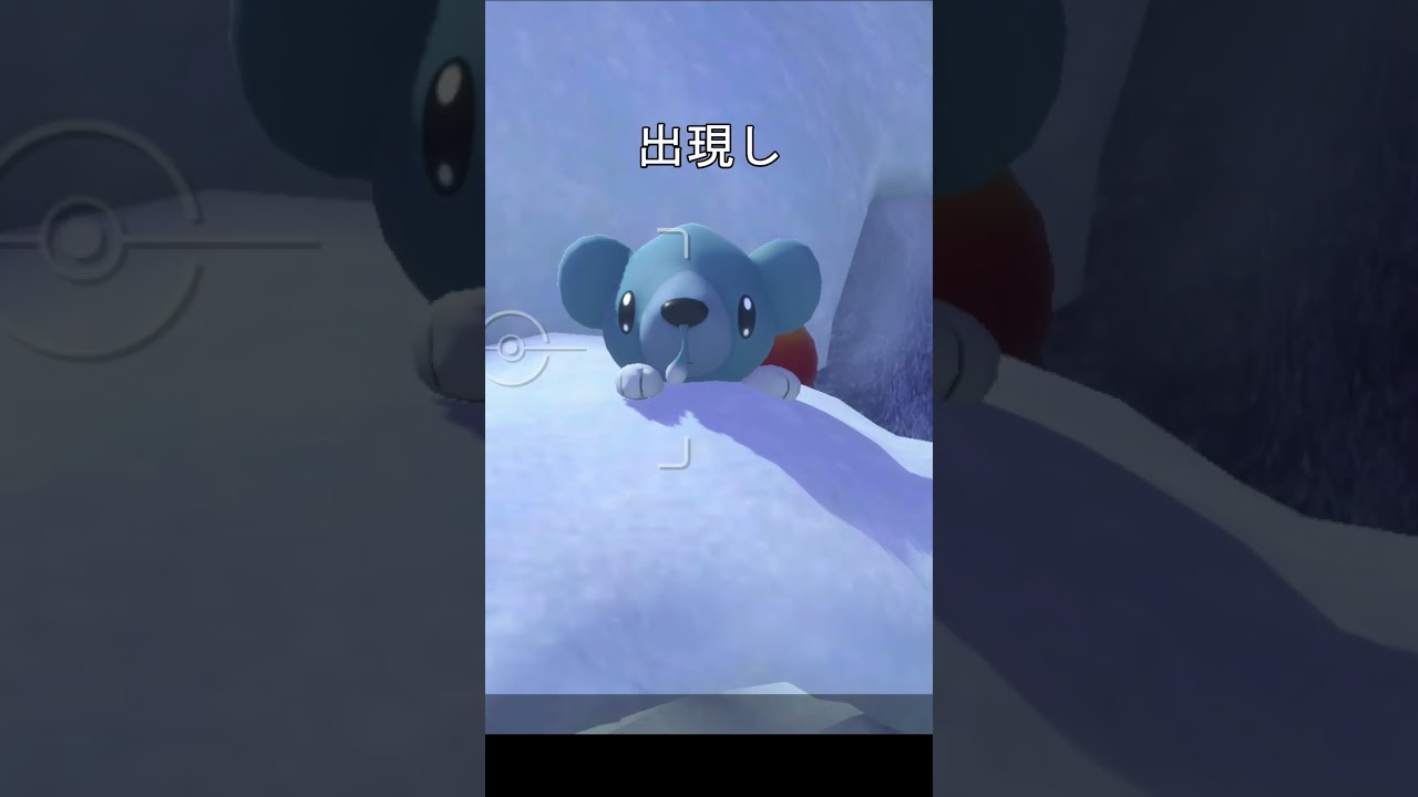 ツンベアーの探し物　#ポケモン #ポケモンスナップ #ツンベアー#クマシュン