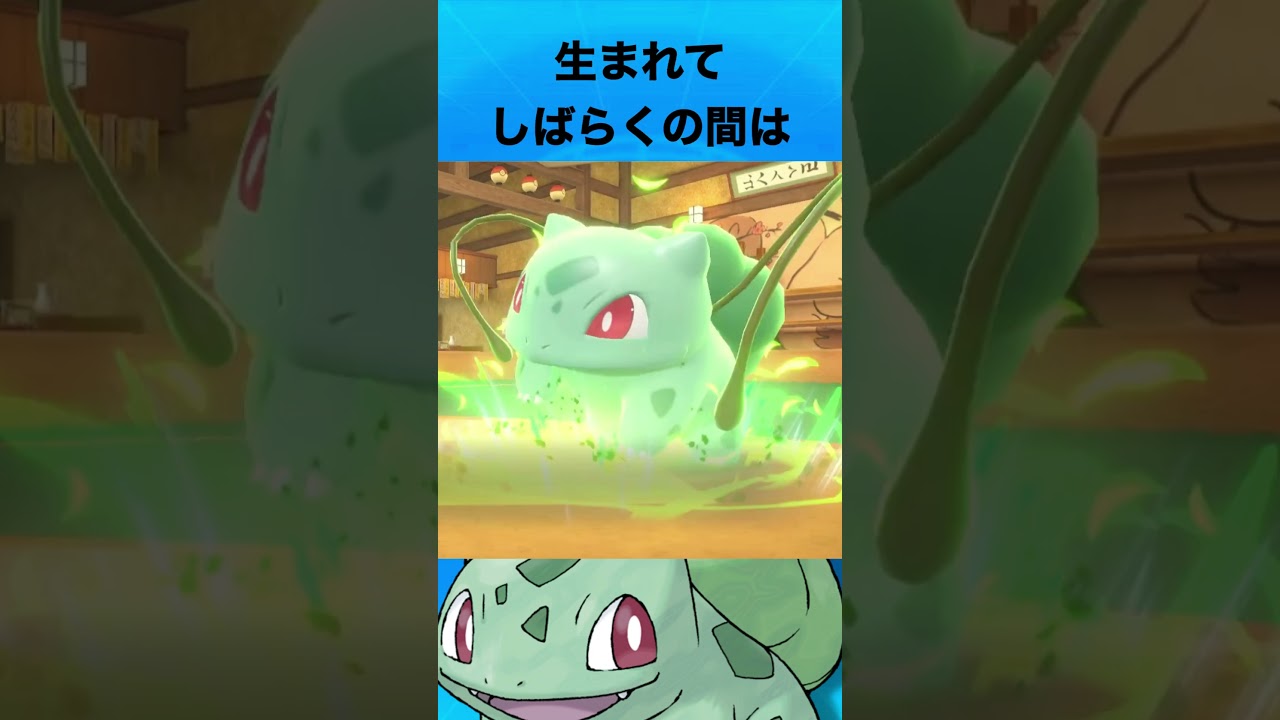 フシギダネについて #ポケモン #フシギダネ #御三家