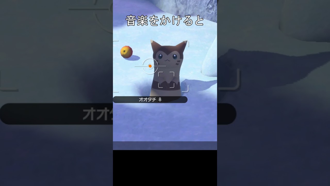 可愛いオオタチ　#ポケモン #ポケモンスナップ #オオタチ