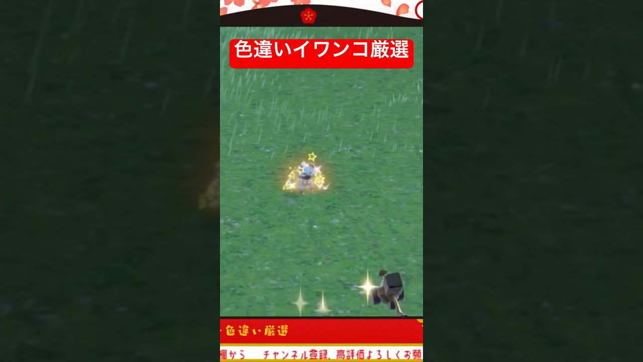 #ポケモンsv 色違いイワンコ厳選