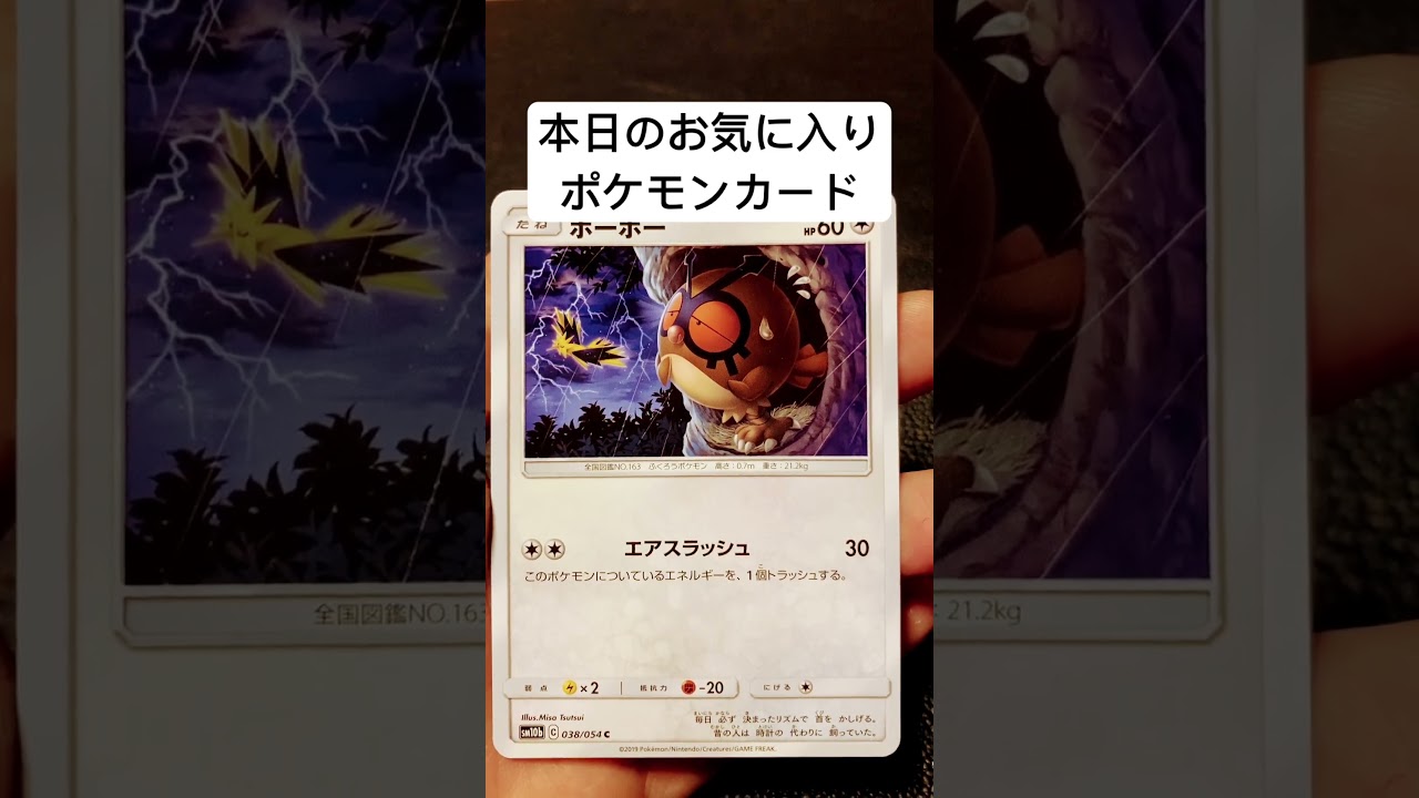 本日のお気に入りポケモンカード　ホーホー　#ポケモンカード