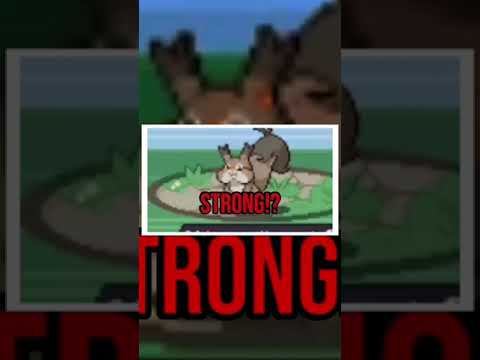 Skwovet Hacking #pokemon #funnyshorts #shorts #pokemonchallenges #pokérogue #trending #funny
