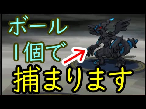 【切り抜き】ゼクロムを1ターンで捕まえてしまったシーン【ポケットモンスターBW】