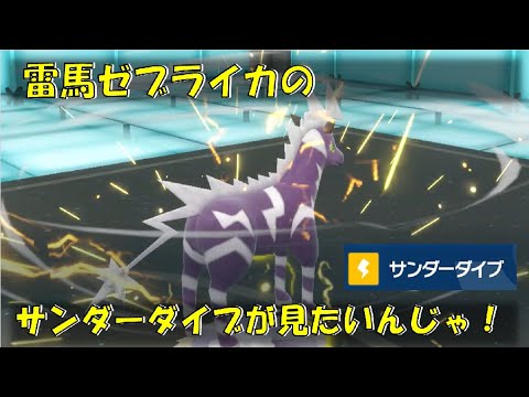 ゼブライカのサンダーダイブが見たいんじゃ！！【ポケモンSV対戦環境】