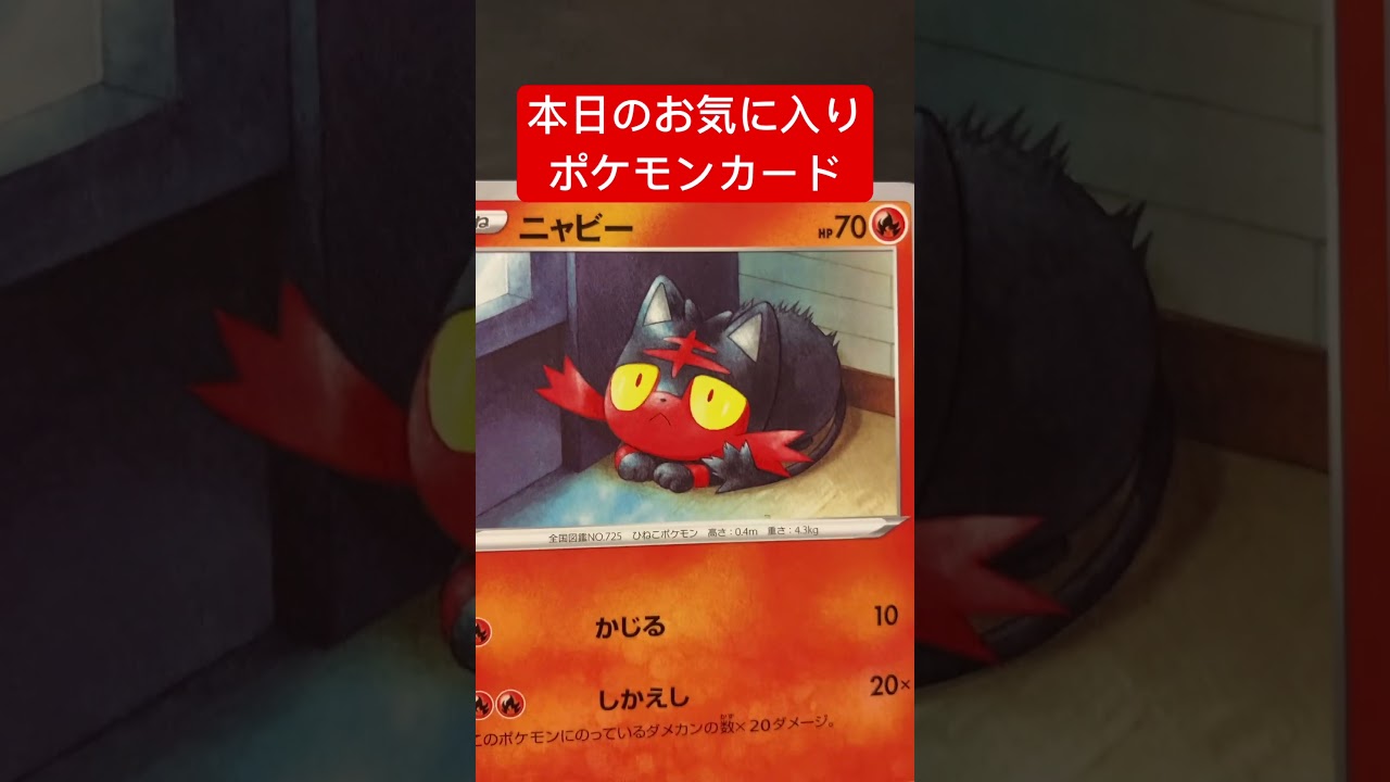 本日のお気に入りポケモンカード　ニャビー　#ポケモンカード