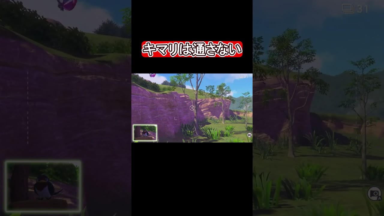 スバメ「召喚師は通す ガードも通す」　#shorts  #ポケモン #ポケモンスナップ