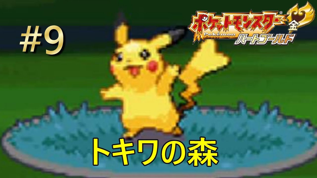 【DS】【ポケットモンスターハートゴールド】【カントー地方編】9