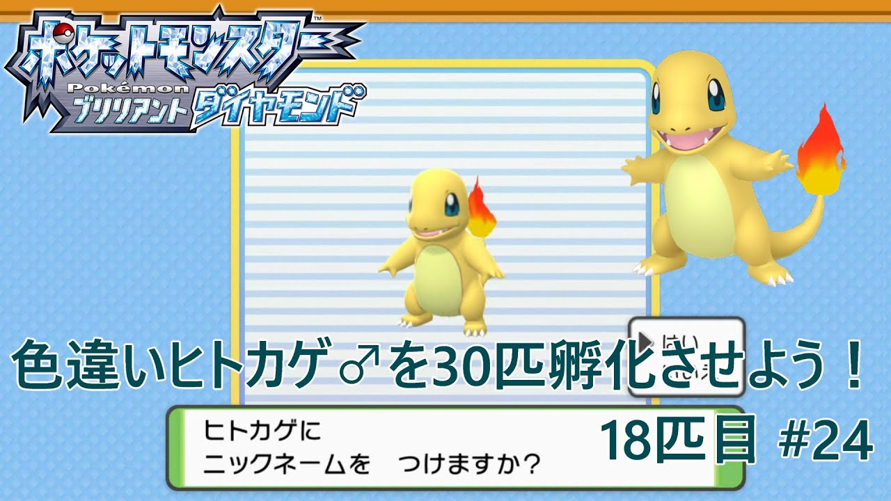 【ポケモンBDSP】色違いヒトカゲ♂を30匹孵化させよう！【色違い】 18匹目 #24