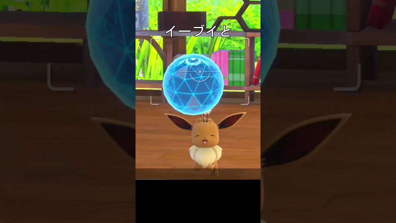 可愛いイーブイ　#ポケモンスナップ #ポケモン #イーブイ