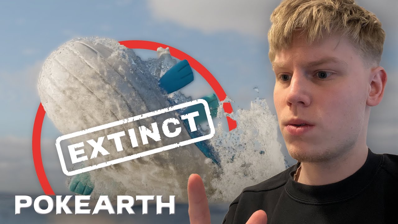 PokéTuber Reacts To: "LIFE OF A WAILORD" || 3D Animation || Pokéarth by  @EnlargedKai