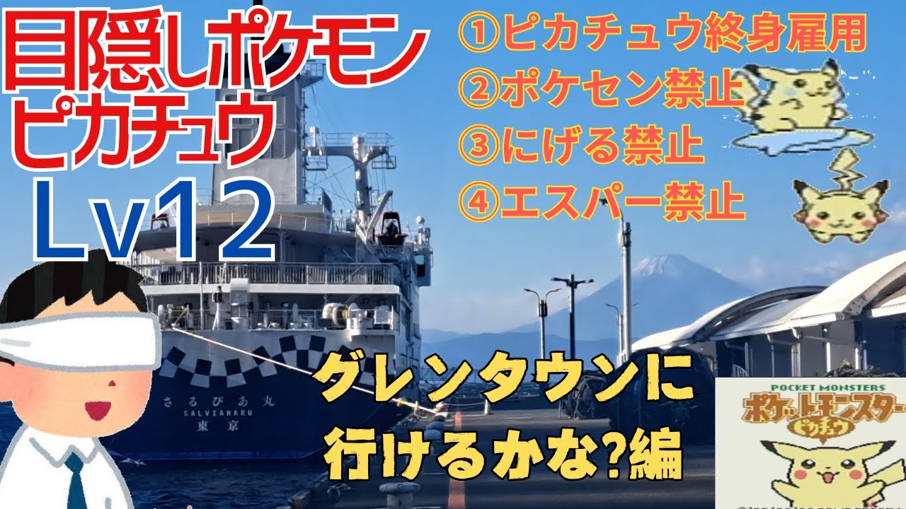 【離島？】目隠し＋鬼畜縛りでピカチュウ版Lv12