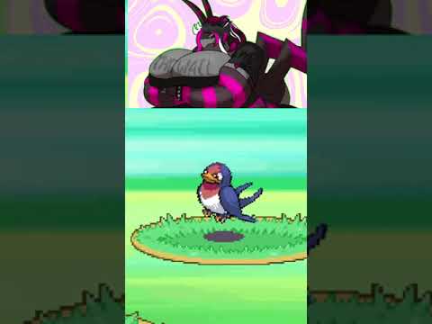 Great Animation Taillow [LF] #vtuber #twitch