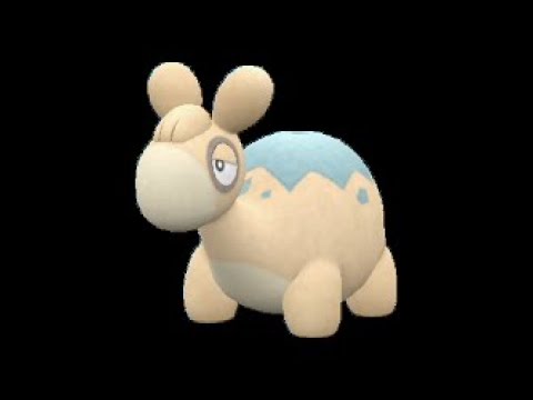 🔴【ポケモンSV】色違いドンメル（バクーダ）のレイド配布＋視聴者同士の交流所（攻略情報・レイド募集・ポケモン交換・ポケモン対戦・攻略情報など）2025年1月29日 朝～