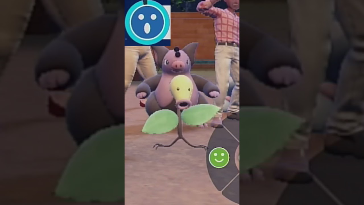 【マダツボミ】ポケモンエクササイズ【キタカミ図鑑No.23】#Shorts #pokemon