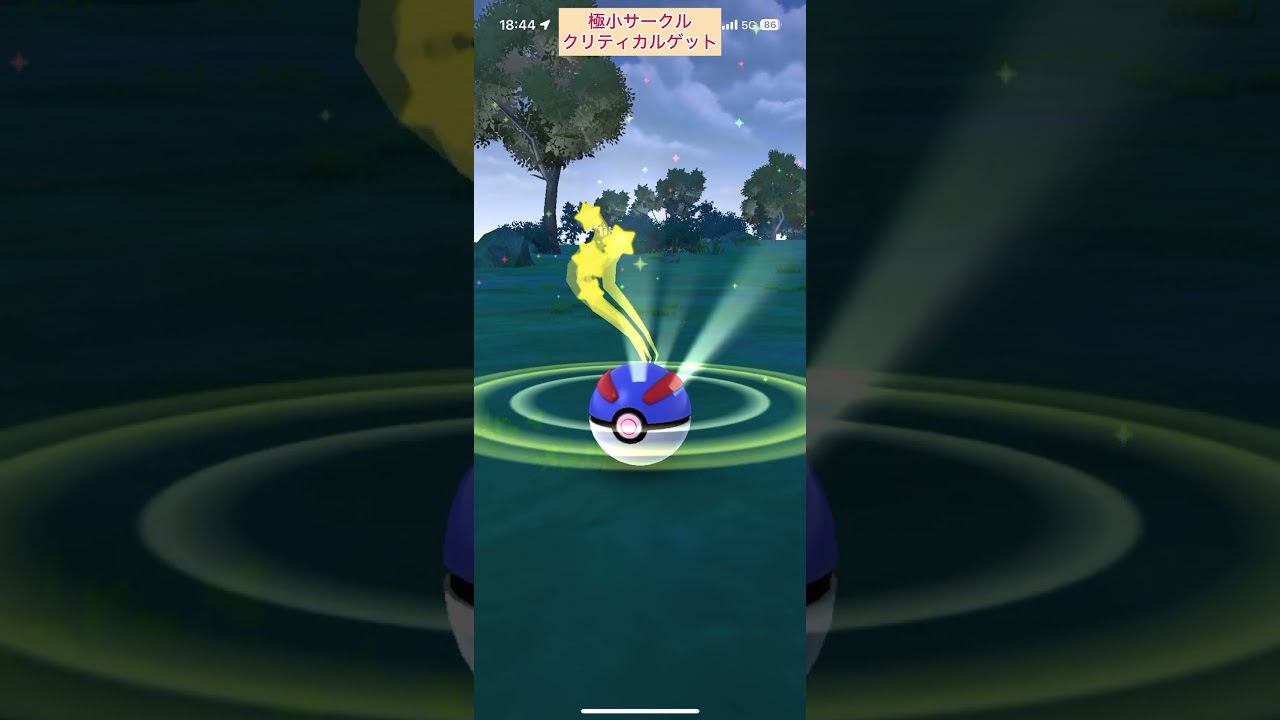 【難易度中】色違いユキワラシ極小サークルクリティカルゲット【ポケモンGO】