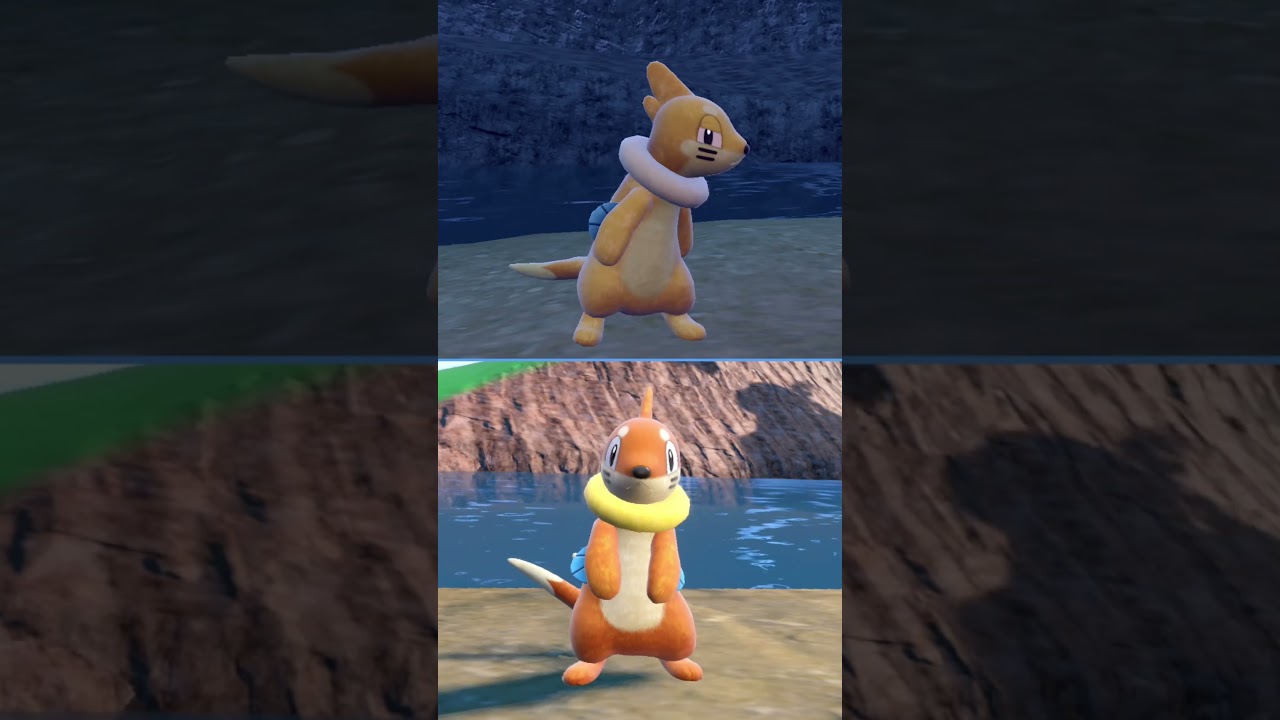 #ブイゼル  #ポケモン  #buizel  #pokemonscarletandviolet