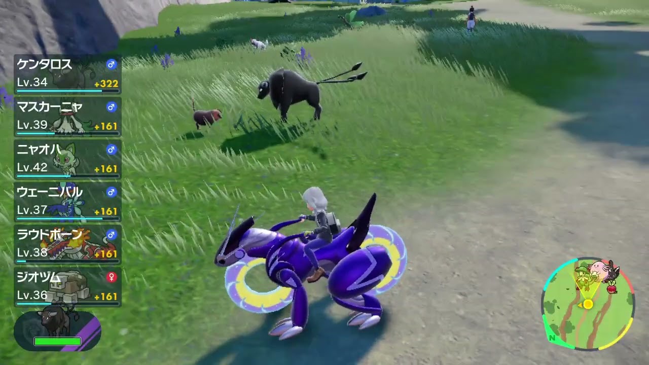 レッツゴーケンタロス(ポケモンSV)