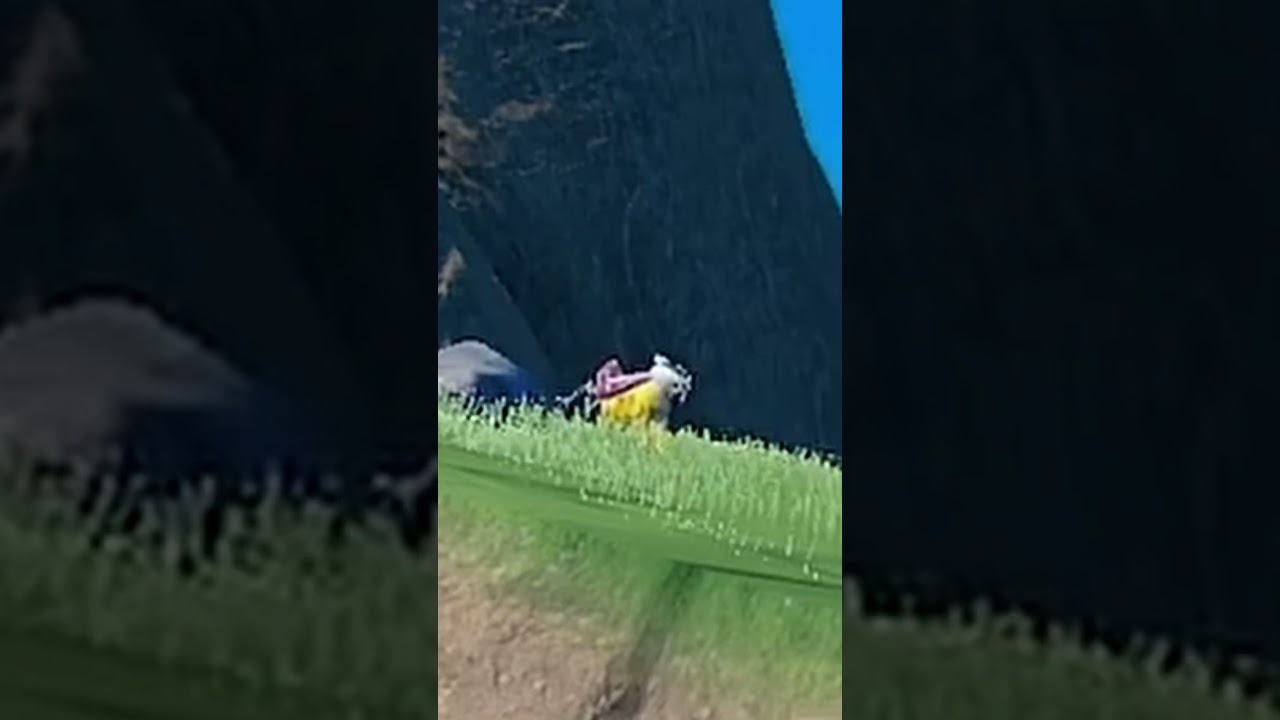 ライコウさん何してるの？【ポケモンSV】 #shorts #ポケモン #ポケモンsv