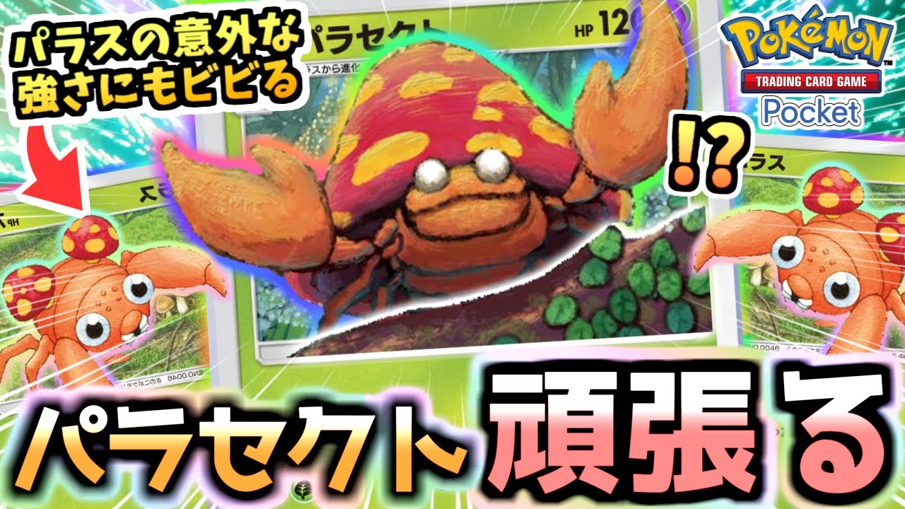 【ポケポケ】新弾前の５連勝イベで"パラセクトデッキ”を使ったのは愛。セレビィexとも仲良しです【ポケカ/Pokémon Trading Card Game Pocket】