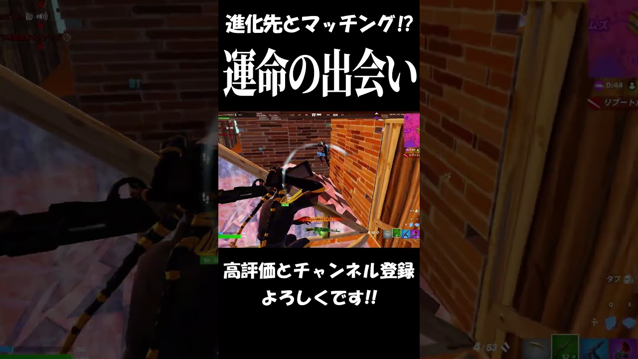 【運命の出会い】まさかの進化先とマッチングするゾロアｗｗｗ #shorts 【Fortnite/フォートナイト】 #フォートナイト #fortnite