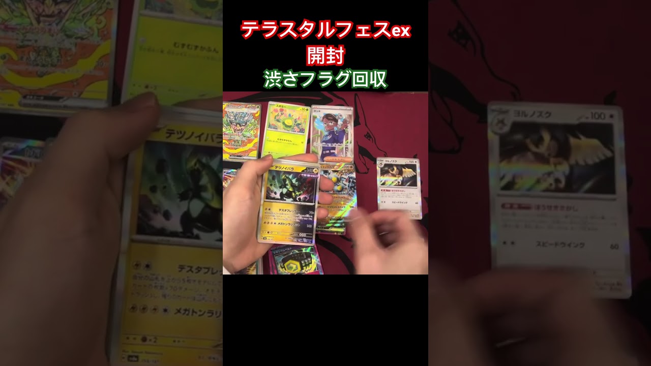 テラスタルフェスex ブラッキーSARキター！【ゼロからはじめるポケカ】 #pokemon #ポケモン #ポケモンカード #ブラッキー #テラスタルフェス #テラスタル #カード開封 #ポケカ
