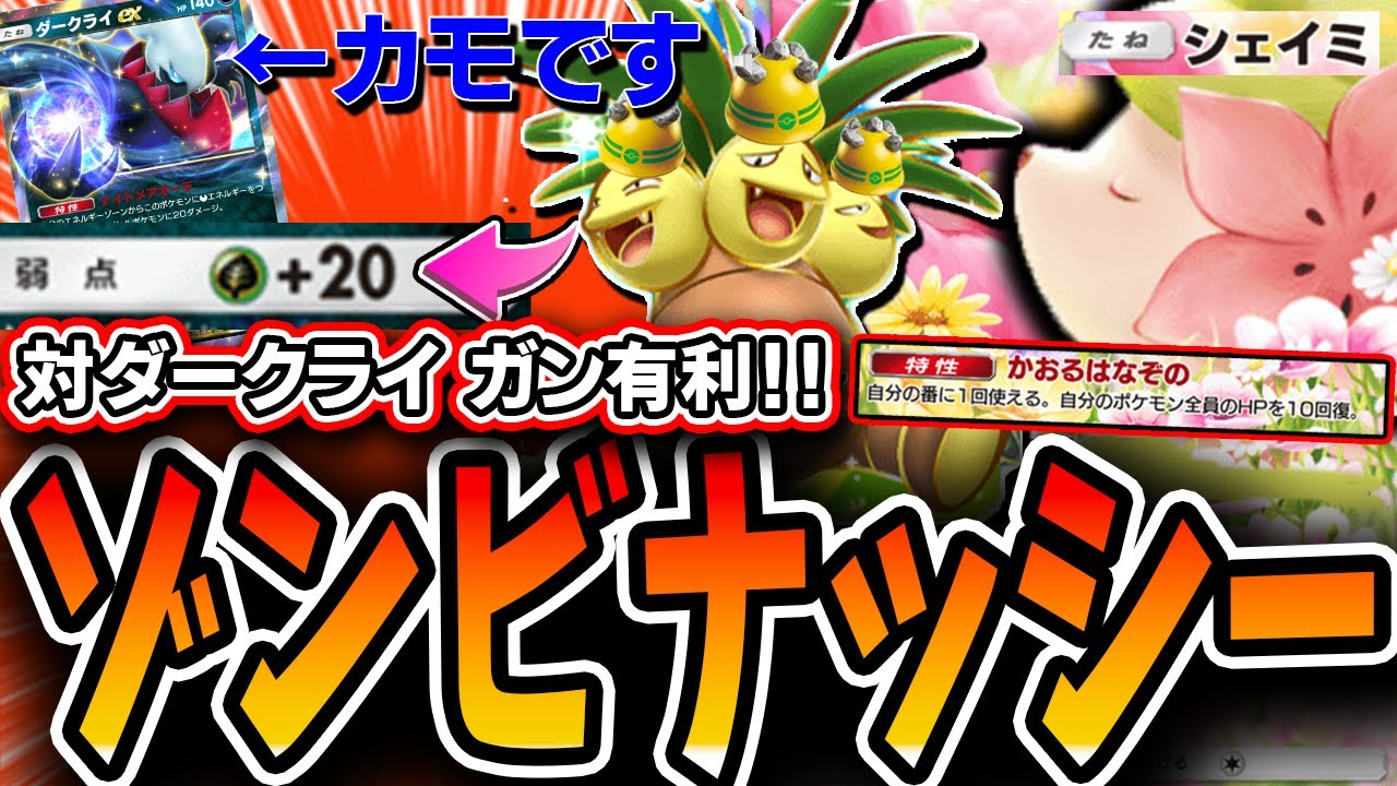 【ポケポケ】Tier1とされる対ダークライ超有利！≪ゾンビシェイミナッシー≫が速攻デッキすべてを破壊できて最高！！【デッキ解説・プレイング】【時空の激闘】