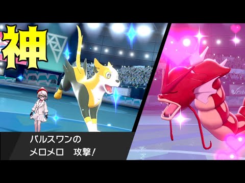 起点作りの神“パルスワン”で相手のポケモンメロメロにした【ポケモン剣盾】