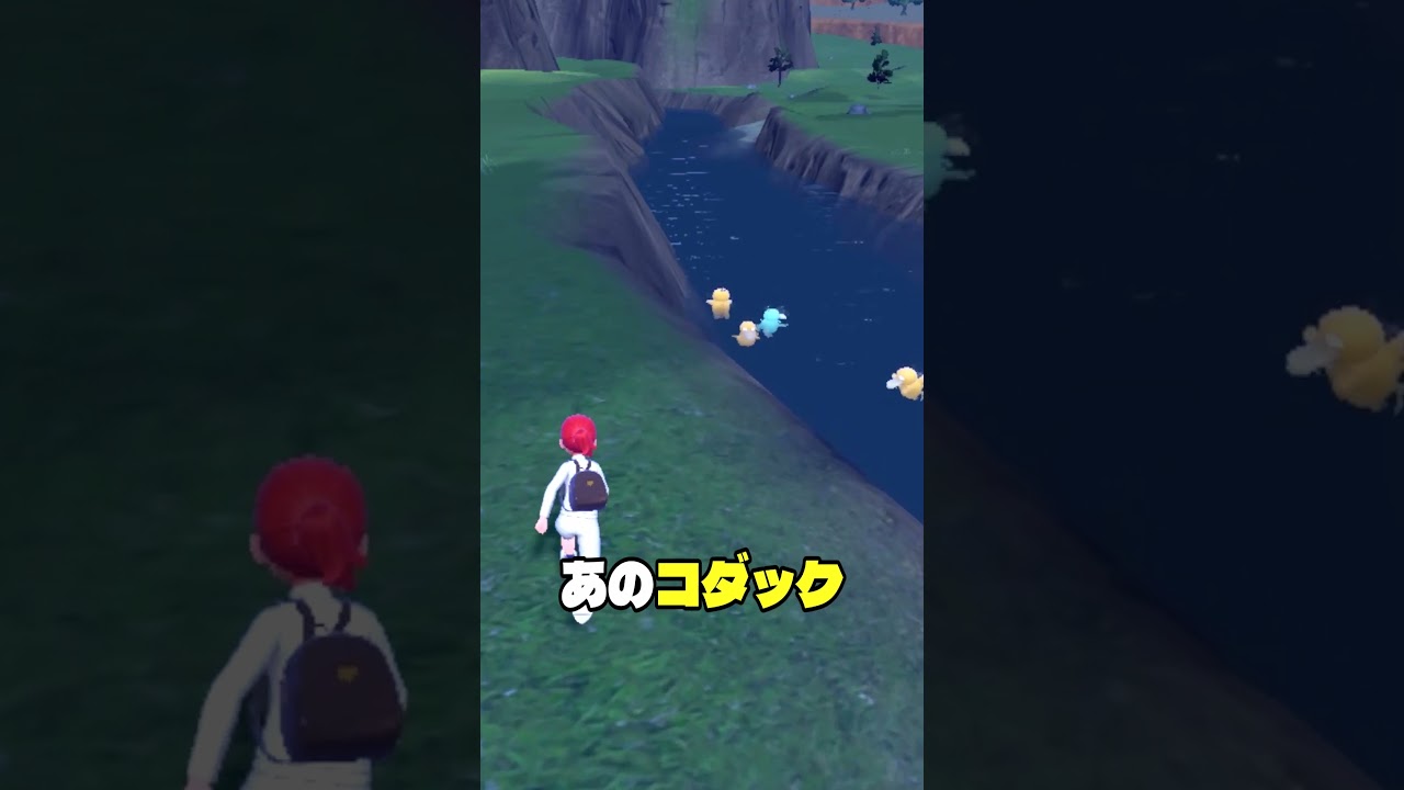 色違いのコダックがかわいすぎる