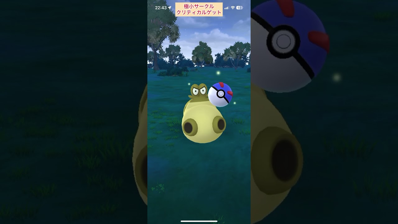 【難易度高】色違いヒポポタス極小サークルクリティカルゲット【ポケモンGO】