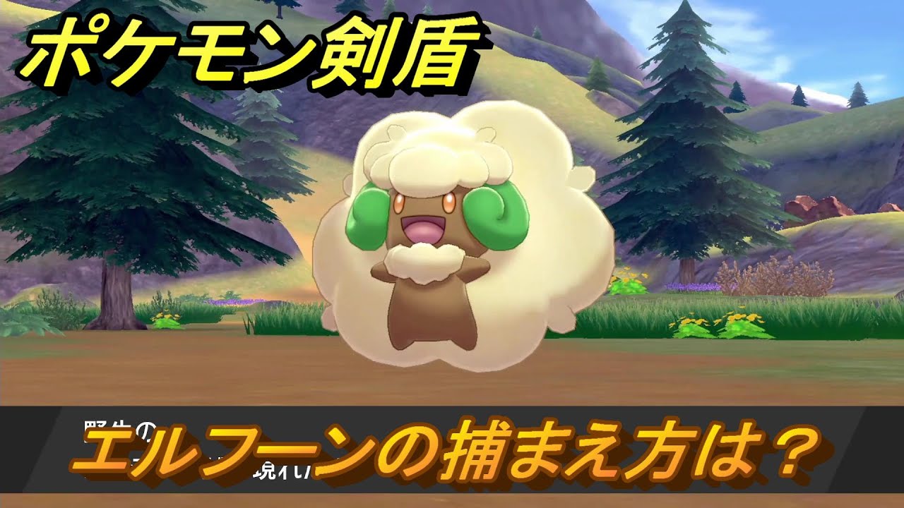 ポケモン剣盾　エルフーンを捕まえる方法！オススメの場所は？天気は？ポケモン図鑑コンプへの道！　最新版【ポケモンソード・シールド】