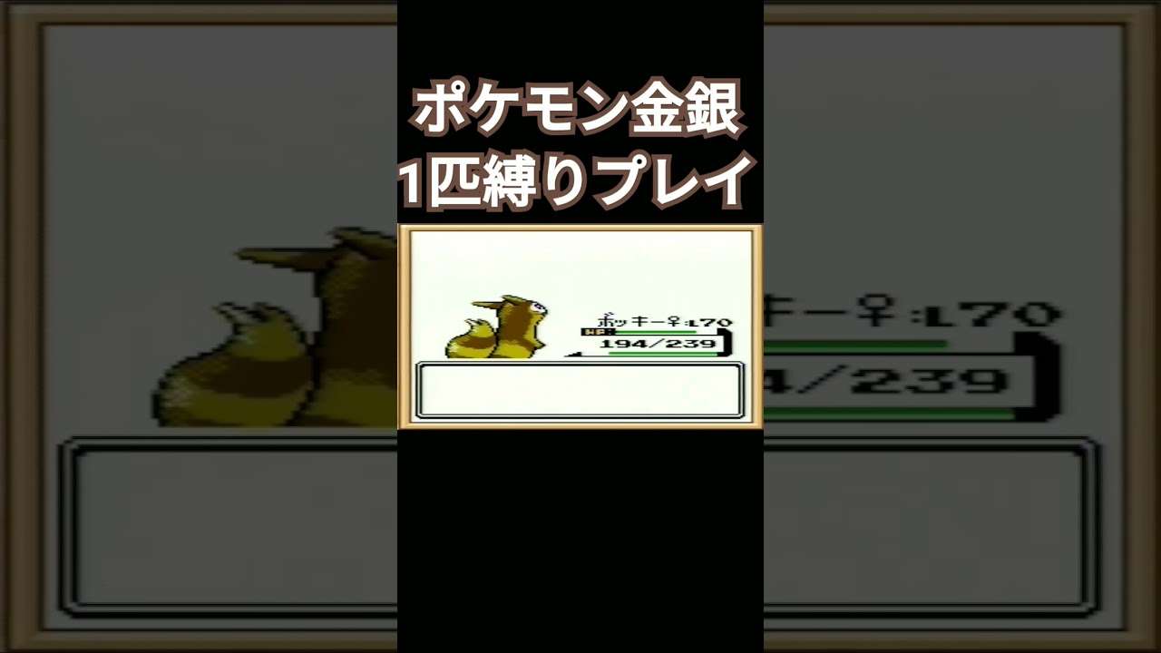 【ポケモン金銀】ポケモン金銀1匹縛りプレイ!!オタチver【縛りプレイ】#ポケモン金銀 #縛りプレイ #オタチ #オオタチ #ゲーム実況