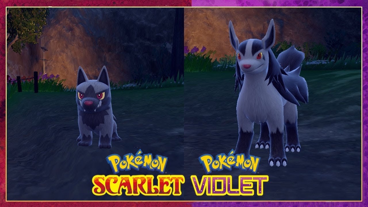 Pokemon Scarlet & Violet How To Evolve Poochyena Into Mightyena