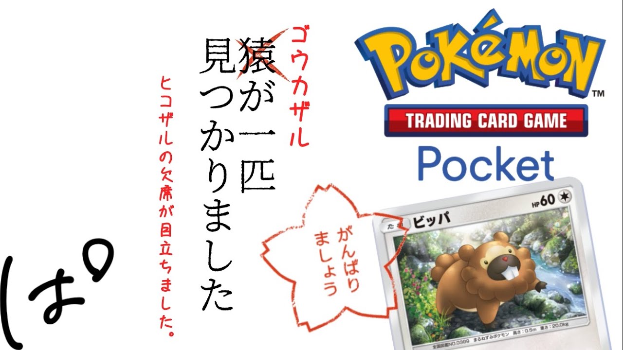 #97 / 1枚しかないゴウカザルexと、手持ちでなんとかしようとするビッパ！ || ポケポケ Pokémon Trading Card Game Pocket / LIVE /