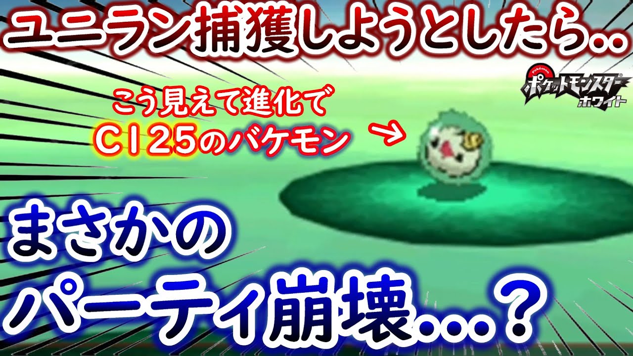 【ひんしで即逃がす】ユニランの捕獲戦で予想外の結末に...【ポケモンBW】