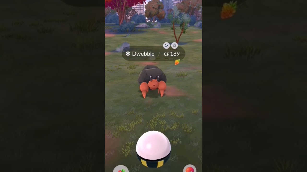 ✨Shiny ✨ Unova Pokemon ( DWEBBLE ) in #pokemogo #shorts