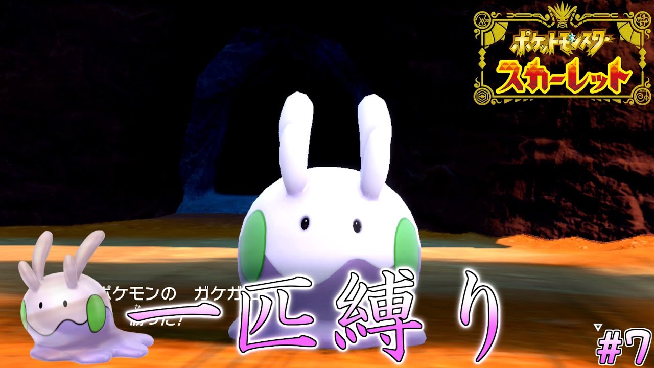 【つぎつぎ失踪しそう】ヌメラ一匹でパルデアを駆ける #7【ポケモンSV】