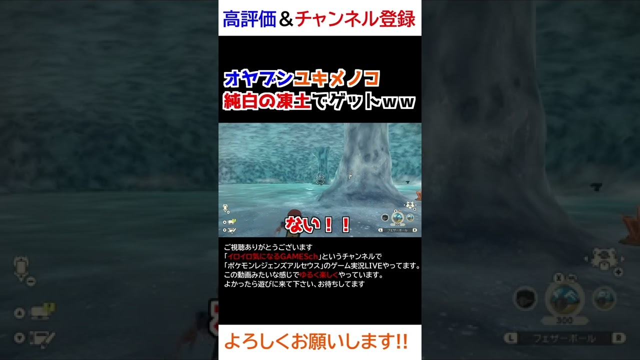 オヤブンユキメノコをゲット！！【Pokémon LEGENDS アルセウス】